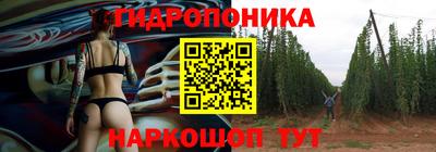 МДПВ Славгород