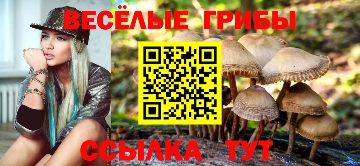 Надым  Псилоцибиновые грибы ЛСД  Вход с VPN  Галлюциногенные грибы мухоморы 