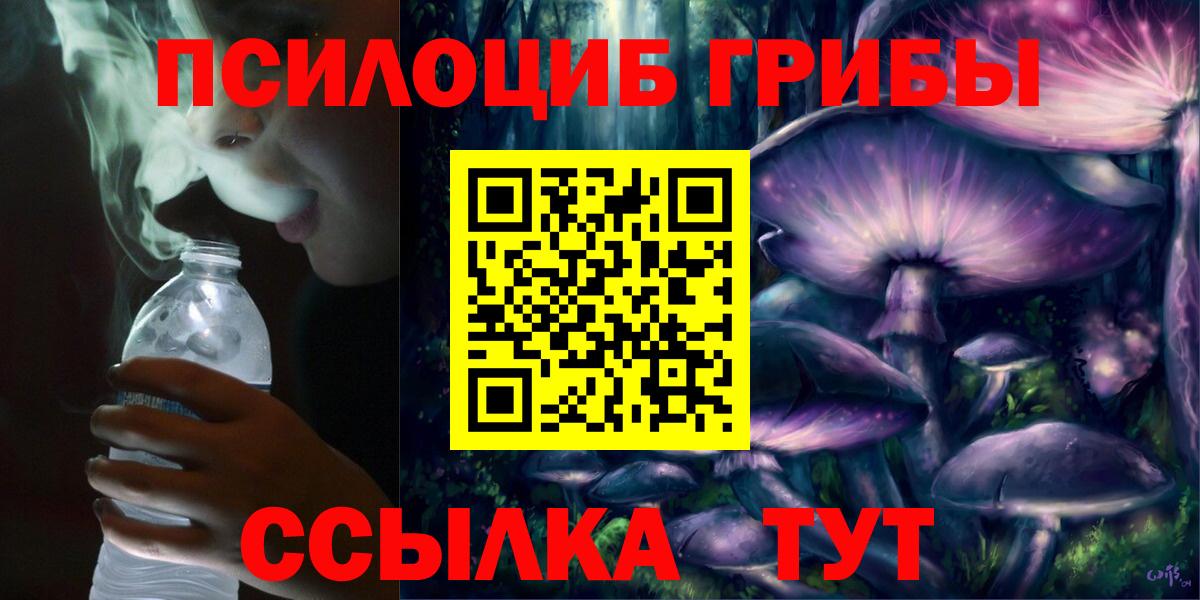 Галлюциногенные грибы Psilocybe Надым